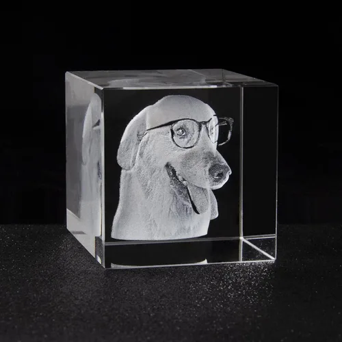 Vista 3 de Cubo de fotos de cristal 3D personalizado con luz, marco de fotos conmemorativo para mascotas, regalo de condolencias para mujeres y hombres
