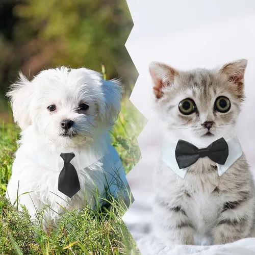Vista 5 de Esmoquin para gatos, traje ajustable de Koolmox con lazos formales y corbatas para mascotas, corbata negra para niños pequeños y medianos, gatos