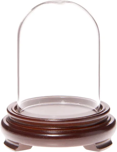 Vista 3 de Plymor Cúpula de cristal de 2.5 x 3.5 pulgadas (base con patas de chapa de madera negra)