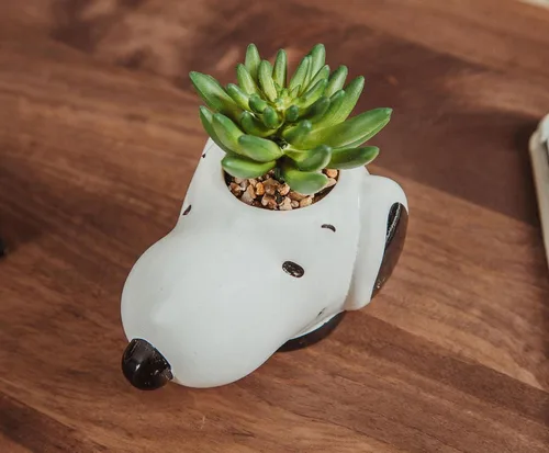 Vista 5 de Peanuts Snoopy Face - Mini maceta de cerámica con suculentas artificiales, maceta pequeña, plantas de interior de imitación para estante