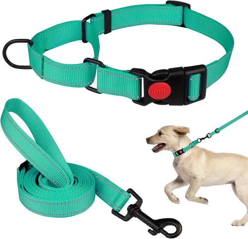Vista 10 de Set de Collar y Correa Martingale para Perros Collares de Martingale para Perros Collar de Martingale Reflectante para Perros Pequeños, Medianos