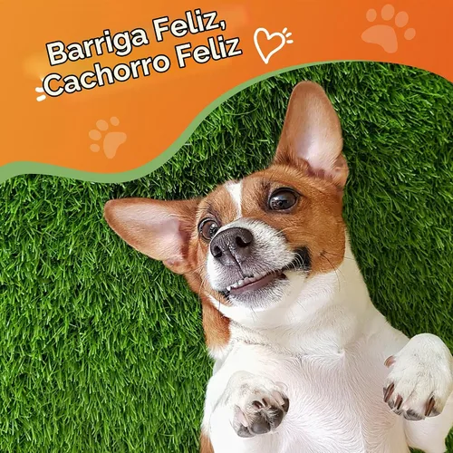 Vista 6 de Antidiarreico para perros – Pasta probiótica de pectina de caolín para perros, antidiarreico para gatos – Probiótico para cachorros que apoya