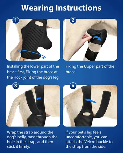 Vista 5 de Rodillera para perro, soporte de ACL para perros para patas traseras y traseras delanteras y traseras
