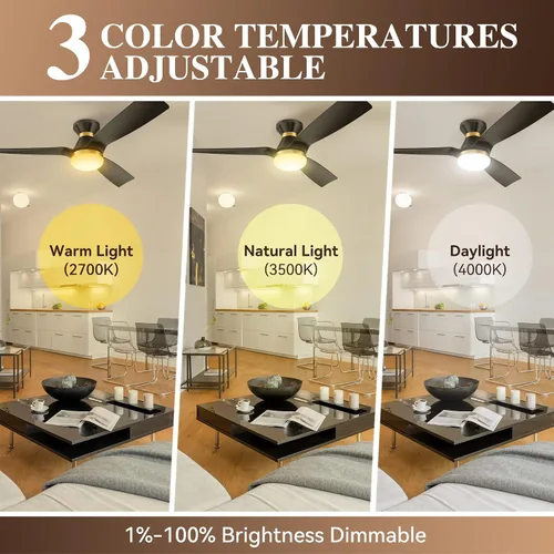 Vista 4 de SMAAIR Ventilador de techo inteligente de 52 pulgadas con luces y motor de CC de 10 velocidades, funciona con control remoto, Alexa/Google