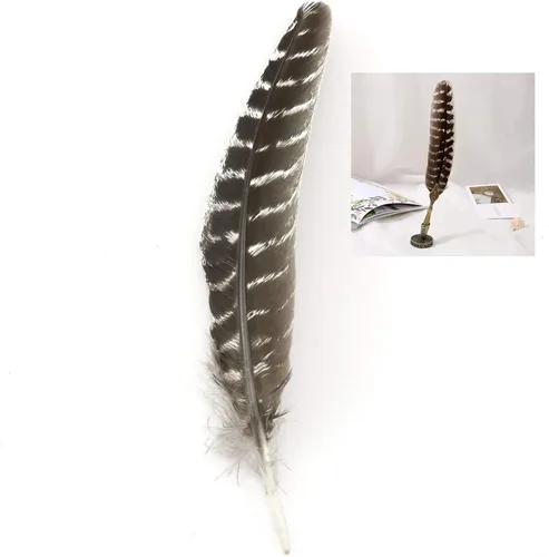 Vista 5 de ZZHXSM 12 plumas de pavo natural de 8 a 10 pulgadas para hacer manualidades, decoración de ropa, familia, boda, decoración de fiesta de cumpleaños