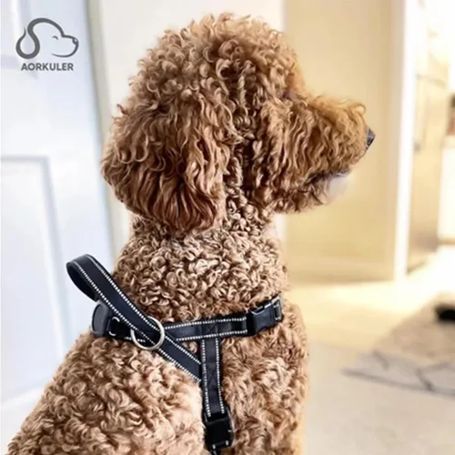 Vista 6 de Aorkuler Arnés para perro sin tirones, fácil para entrenar y caminar, adecuado para rastreador GPS Aorkuler Dog