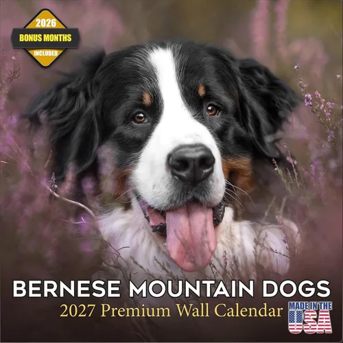 Vista 190 de Calendario de Lebrel Afgano 2025 2026, calendario mensual de pared de raza canina, 12" x 18" abierto, papel grueso sin traspaso, ideal para regalo