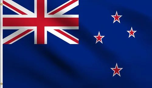 Vista 133 de DMSE - Bandera nacional beninesa beninesa de la República de África Occidental, 2 x 3 pies, 100 % poliéster, 100 % poliéster, resistente a los rayos