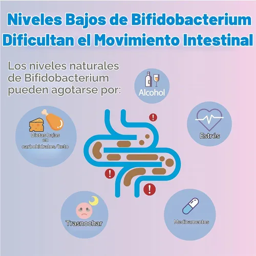 Vista 3 de Life-Space Probióticos bióticos intestinales para regularidad, porción de 2 meses, 20 mil millones de UFC y 5 cepas, apoya el movimiento intestinal