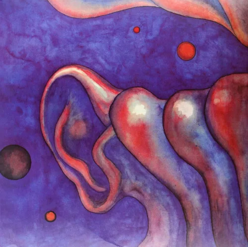 Vista 2 de In The Court Of The Crimson King