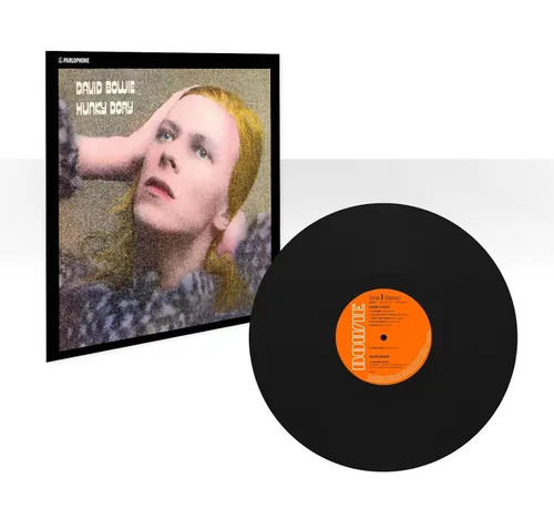 Vista 3 de Hunky Dory 2015
