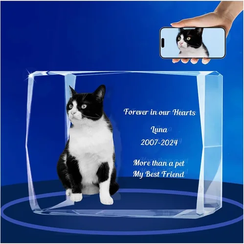 Vista 7 de Marco de fotos de cristal 3D personalizado con luz nocturna para mascotas conmemorativo con mis fotos, regalo de aniversario de Navidad
