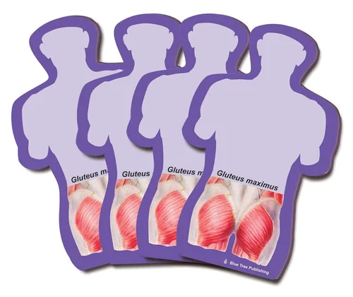 Vista 19 de Notas Adhesivas de Anatomía