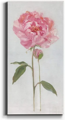 Vista 68 de Renditions Gallery Master Botanical II - Arte de pared, decoración en lienzo de alta calidad con envoltura de galería, listo para colgar, 16
