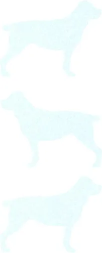 Vista 6 de LiteMark Calcomanías reflectantes negras rottweiller de 2.5 pulgadas, paquete de 3