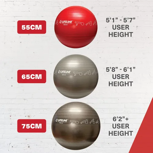 Vista 5 de Pelota de ejercicio Lifeline