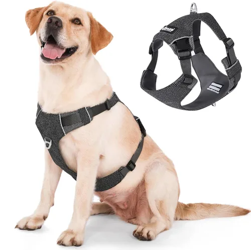 Vista 6 de LIOPARD Arnés para perro, arnés para mascotas fácil de caminar sin tirones, con 2 clips para correa, chaleco reflectante suave acolchado ajustable