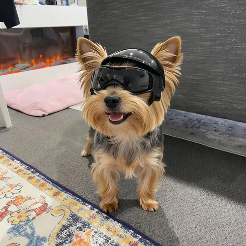 Vista 2 de Enjoying Cascos para perros pequeños, casco para perros pequeños, con gafas, senderismo, ciclismo, al aire libre, resistente al viento, a prueba