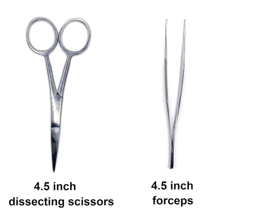 Vista 2 de Juego de disección de lujo de 20 piezas en estuche de plástico para laboratorio de anatomía, biología y disección general