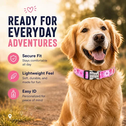 Vista 5 de Collares de perro personalizados con placa de identificación grabada con número de teléfono, collares ajustables coloridos para perros macho