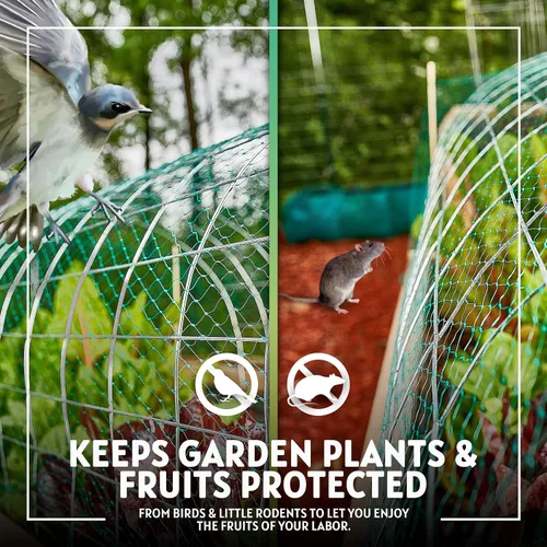 Vista 4 de Red de jardín suave verde de 6-1/2 x 33 pies. Protección segura para mantener alejados a pájaros y roedores de frutas, verduras, flores y plantas