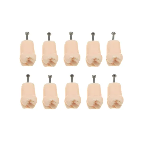 Vista 10 de Modelo de estudio de dientes de práctica de Typodont dental, modelo de estudio, dientes de repuesto individual, enseñanza de estudiantes 11#