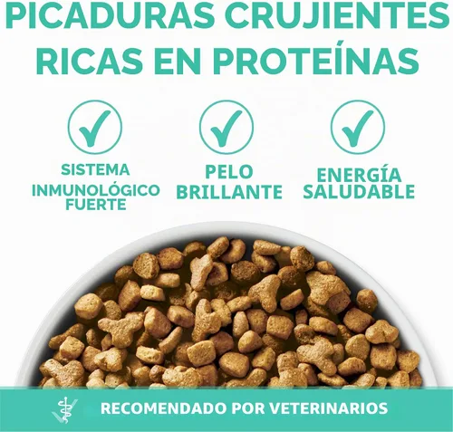 Vista 7 de Purina ONE Estómago sensible, piel sensible, alimento seco natural para gatos, fórmula +Plus para piel y estómago sensible, bolsa de 7 libras