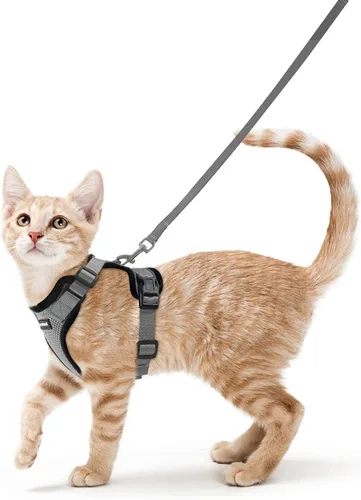 Vista 80 de rabbitgoo Cat Harness and Leash Set, Escape Proof Vest, Berry Pounce