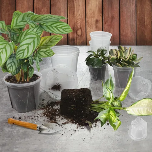 Vista 9 de GREENPARA Macetas transparentes para vivero con platillo para plantas