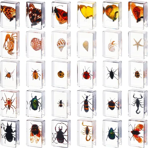 Vista 8 de 30 piezas de insectos en resina colección de insectos, pisapapeles, insectos reales en resina, varios especímenes de insectos preservados