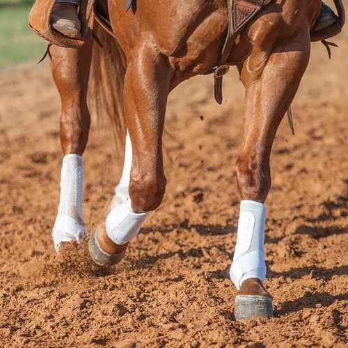 Vista 5 de Classic Equine Botas de hindú Classicfit
