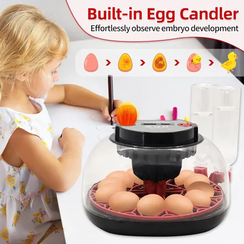 Vista 6 de Incubadora de 12 huevos con pantalla de humedad, incubadora de huevos con giro automático de huevos y recarga automática de botella de agua