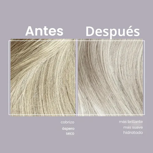 Vista 2 de jhirmack Silver Brightening Purple Champú, 12 onzas líquidas (paquete de 4)