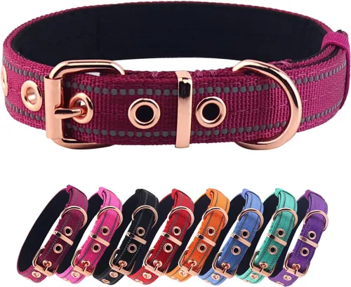 Vista 13 de Collar de Perro de Neopreno Acolchado, Collar de Nylon para Perros Pequeños a Grandes, Resistente con Hebilla de Metal, Reflectante (Pequeño, Negro)