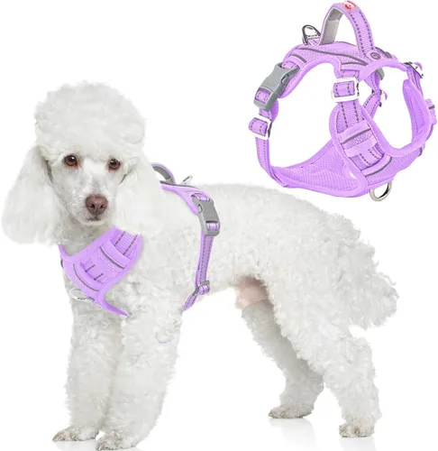 Vista 24 de BARKBAY Arnés Oxford sin tirones para perro con bolsillo para etiqueta de identificación, resistente, reflectante, fácil control para perros grandes