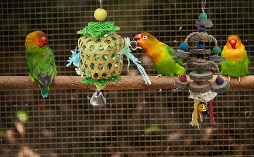Vista 2 de Juguetes para pájaros para periquitos Conures, accesorios de jaula de pájaros, juguetes de forraje para jaula BellBall