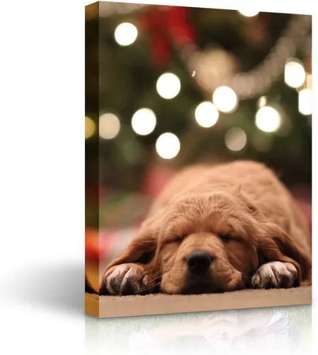 Vista 11 de SIGNLEADER Lienzo decorativo personalizado para pared, impresiones de lienzo personalizadas con tus fotos, decoración perfecta de pared