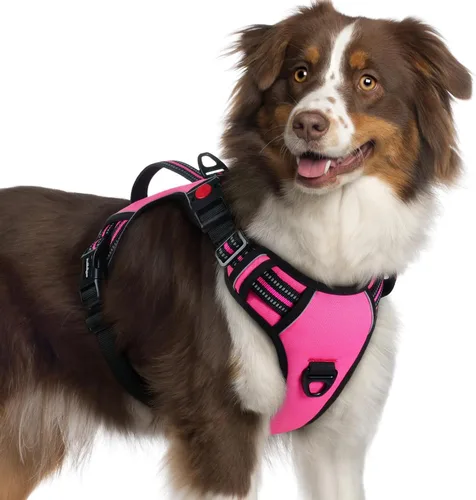 Vista 26 de rabbitgoo Arnés para perro de tamaño pequeño, arnés para mascotas sin tirones con mango acolchado suave, chaleco reflectante ajustable con 3