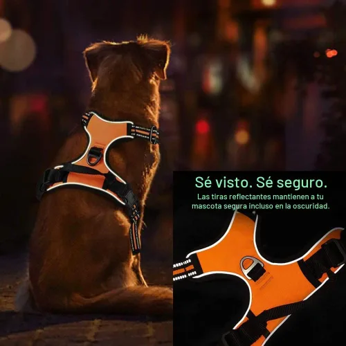 Vista 3 de Juego de correa de arnés personalizado para perro sin tirones con nombre y número de teléfono, arnés de chaleco acolchado suave reflectante