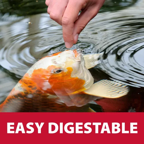 Vista 5 de The Pond Guy Spring & Fall - Alimento para peces con germen de trigo para Koi y Goldfish, pellets flotantes prémium para clima frío, fórmula