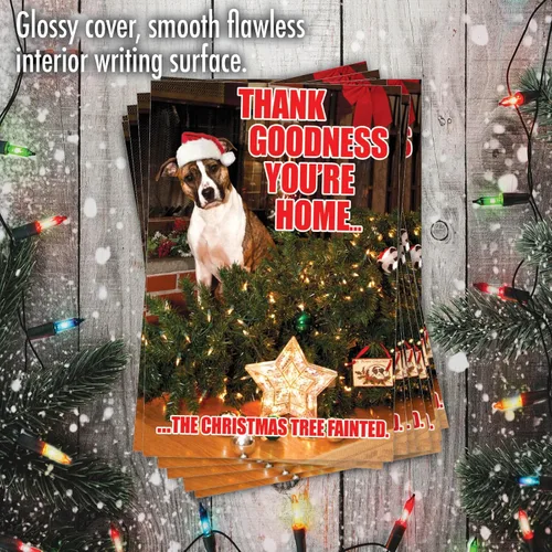 Vista 5 de NobleWorks Paquete a granel de 36 tarjetas de felicitación divertidas de Navidad con sobres, tarjetas divertidas en caja para perros y mujeres