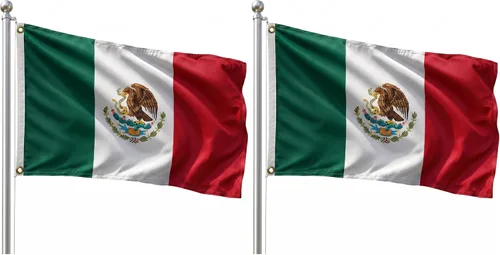 Vista 43 de DMSE - Bandera nacional beninesa beninesa de la República de África Occidental, 2 x 3 pies, 100 % poliéster, 100 % poliéster, resistente a los rayos