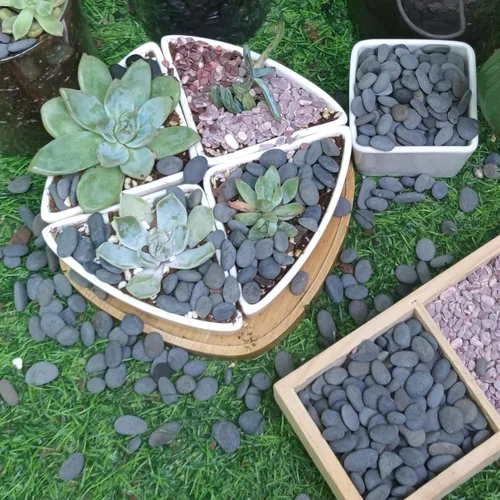 Vista 7 de Piedras de río de 2.4 libras para plantas y suculentas, paisajismo decorativo al aire libre y rocas de jardín de acuarios
