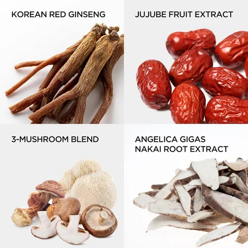 Vista 5 de JungKwanJang - Bebida energética de ginseng rojo coreano con 6 extractos botánicos, refuerzo diario para el sistema inmunológico y vitalidad