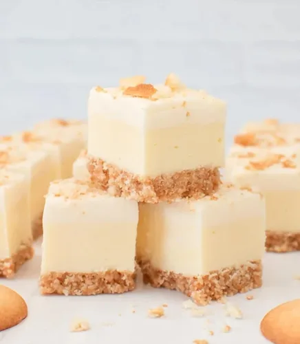 Vista 3 de Merckens – Obleas de chocolate blanco, para cobertura de chocolate derretido, 5 libras
