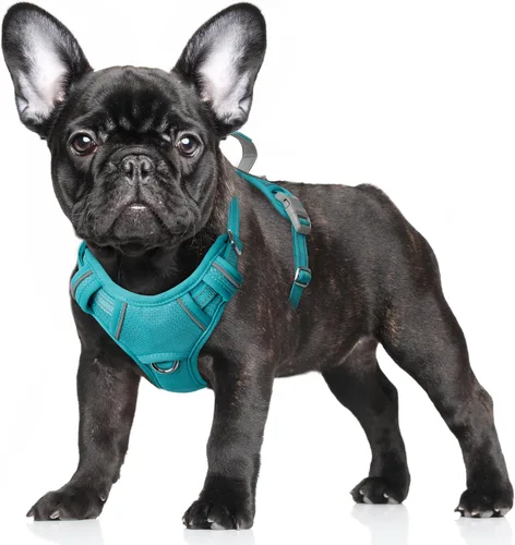 Vista 44 de BARKBAY Arnés para Perro Sin Tirones Talla Grande Arnés Reflectante para Perro con Clip Frontal y Asa de Control Fácil para Caminar Entrenar Correr