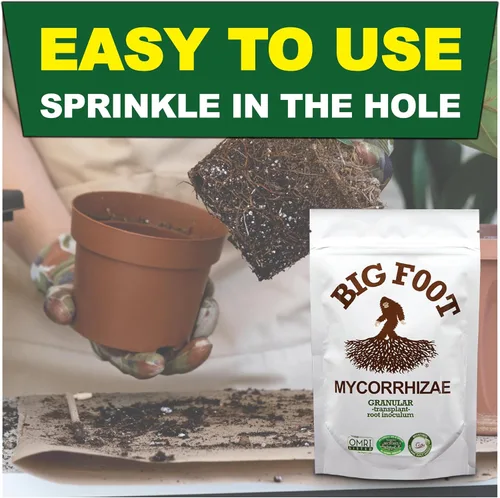 Vista 3 de Big Foot Hongos micorrícicos granulares para trasplantes - para todas las plantas - Estimulador de raíces fácil de usar - Trata 1200 plantas