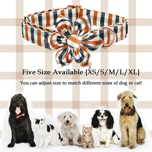 Vista 3 de Lionheart Glory - Collar de perro estampado con flor - Resistente, ajustable, protección contra caídas para cachorros XS