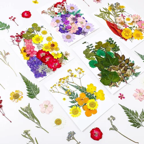 Vista 2 de Nuanchu 200 piezas de flores secas prensadas para resina, flores naturales prensadas reales, hojas a granel para manualidades, manualidades, arte