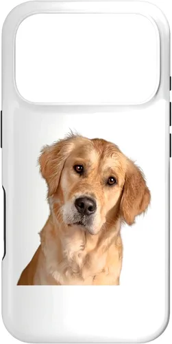 Vista 30 de American Golden Retriever Dog Sweet and Quizzical Case for iPhone 17
